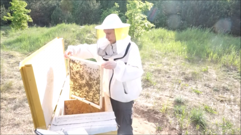 Snapshot 2 (04-06-2019 10-32)