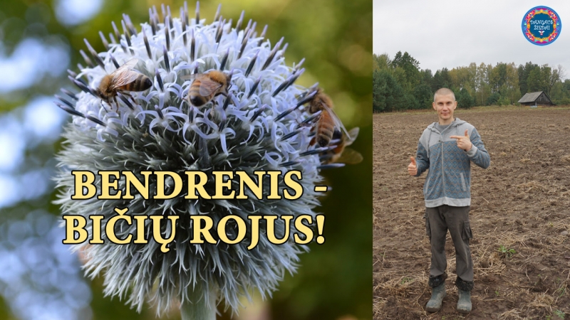 BENDRENIS
