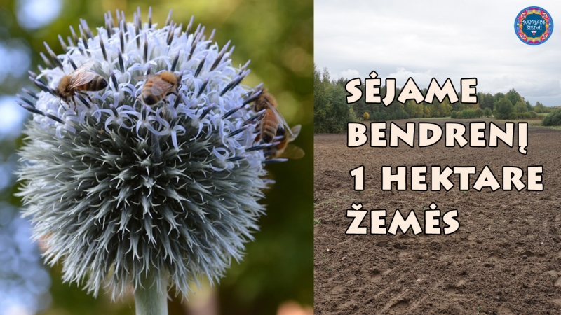 bendrenis2