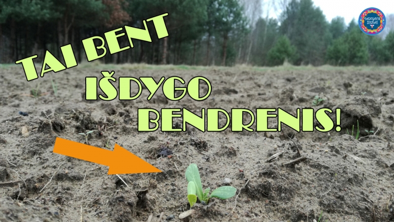 isdygo bendrenis