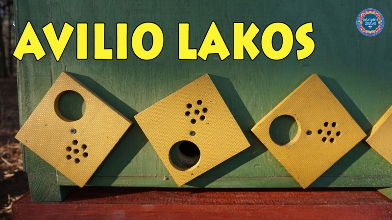 lakos