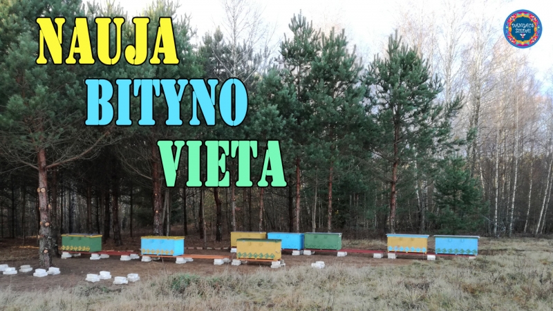 nauja bityno vieta