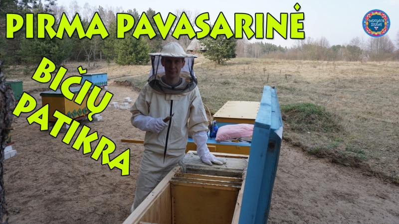 Pirma pavasarinė bičių patikra