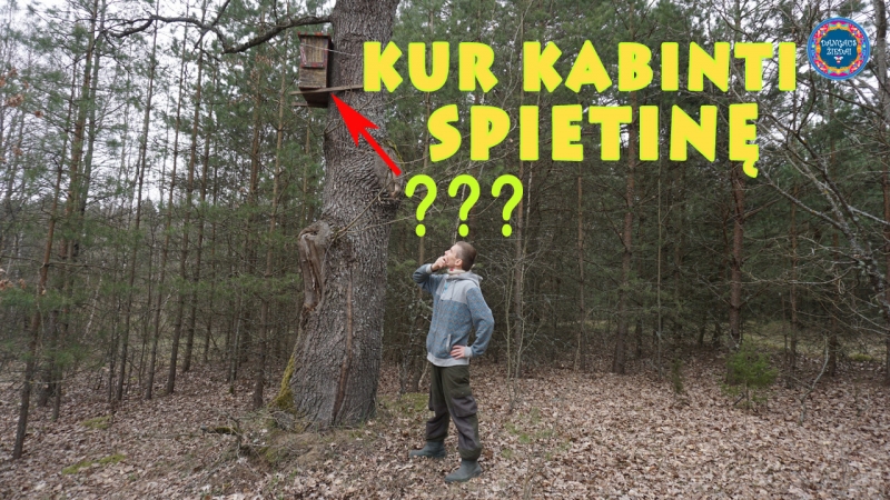 kur kabinti spietinę