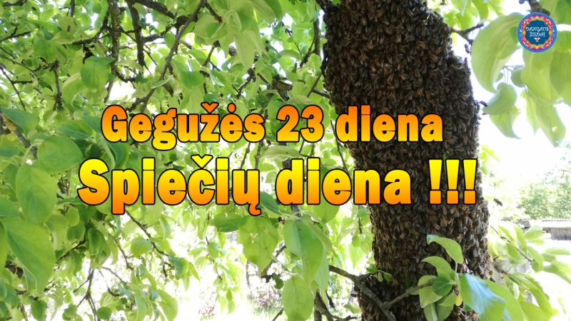 spieciu diena