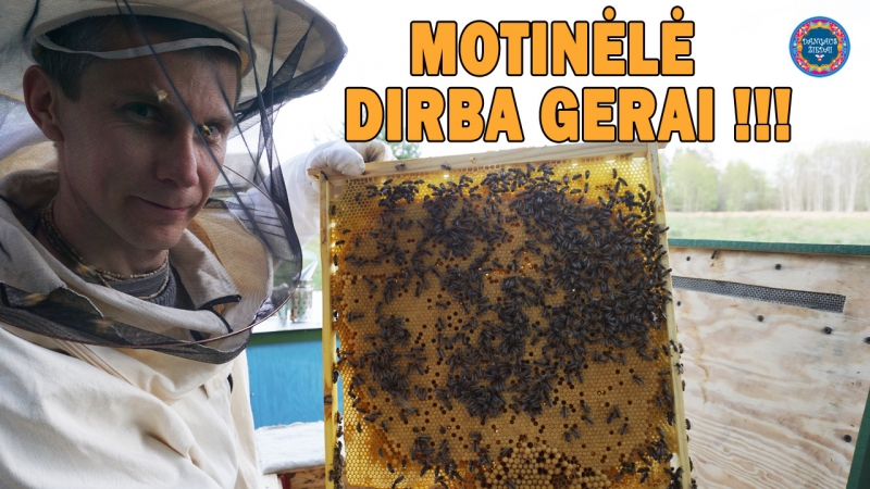 Motinėlė dirba gerai