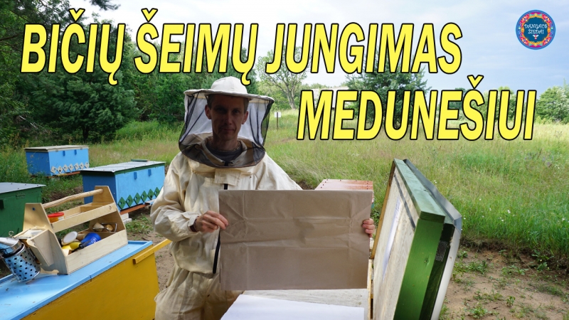 Biciu seimu jungimas medunesiui