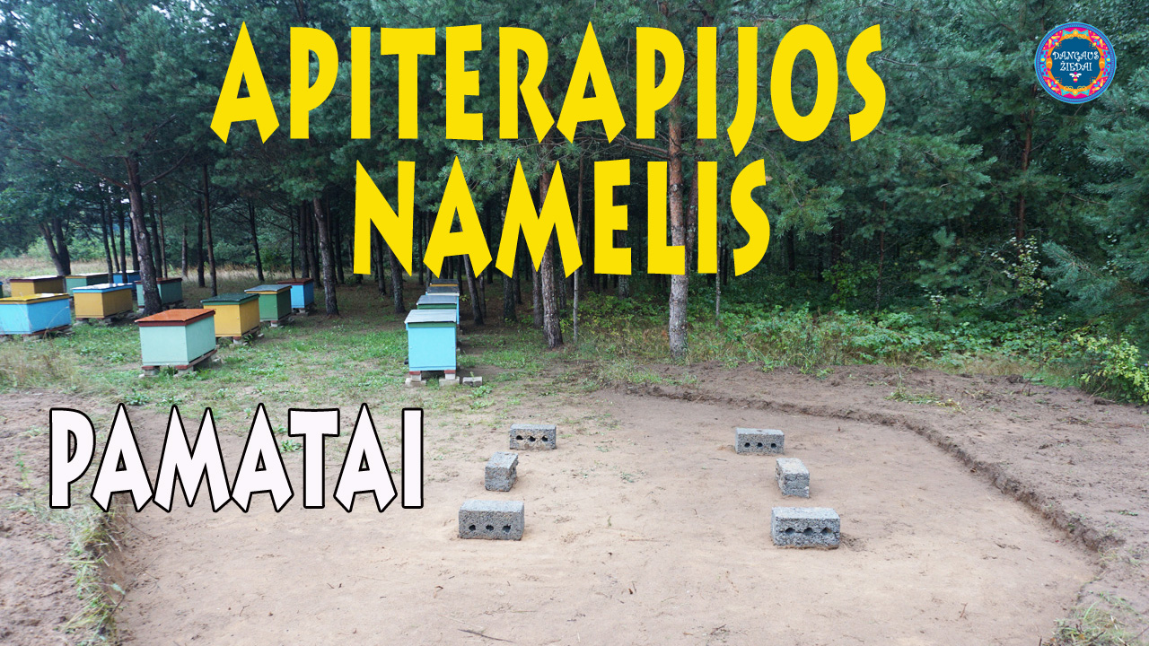 Apiterapijos namelis, pamatai