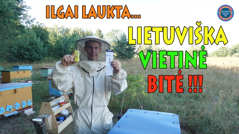 Lietuviškos vietinės bitės