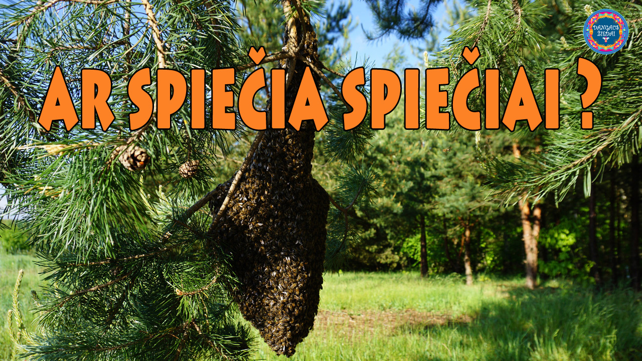 Ar spiečia spiečiai?