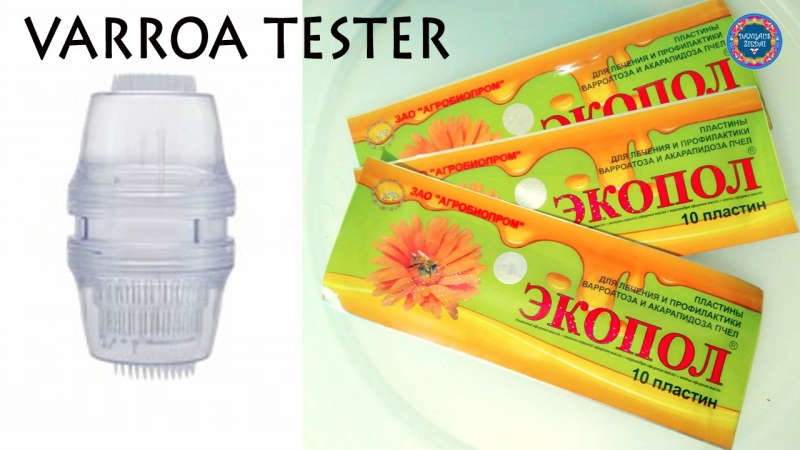 Varro tester, Ekopol