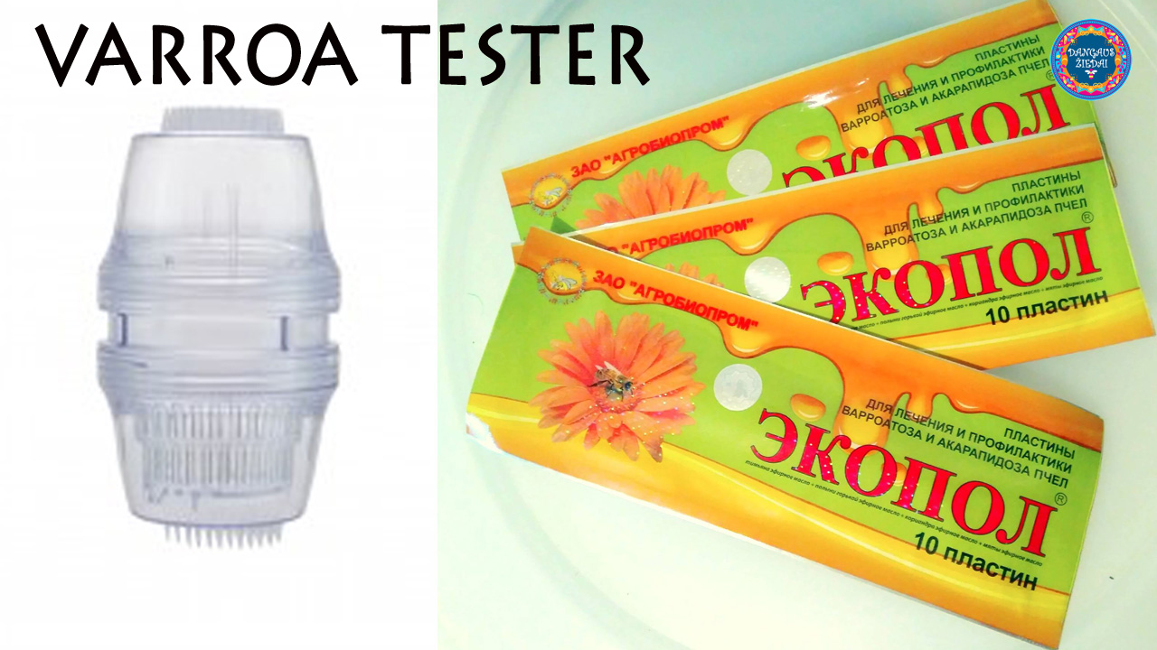 Varro tester, Ekopol