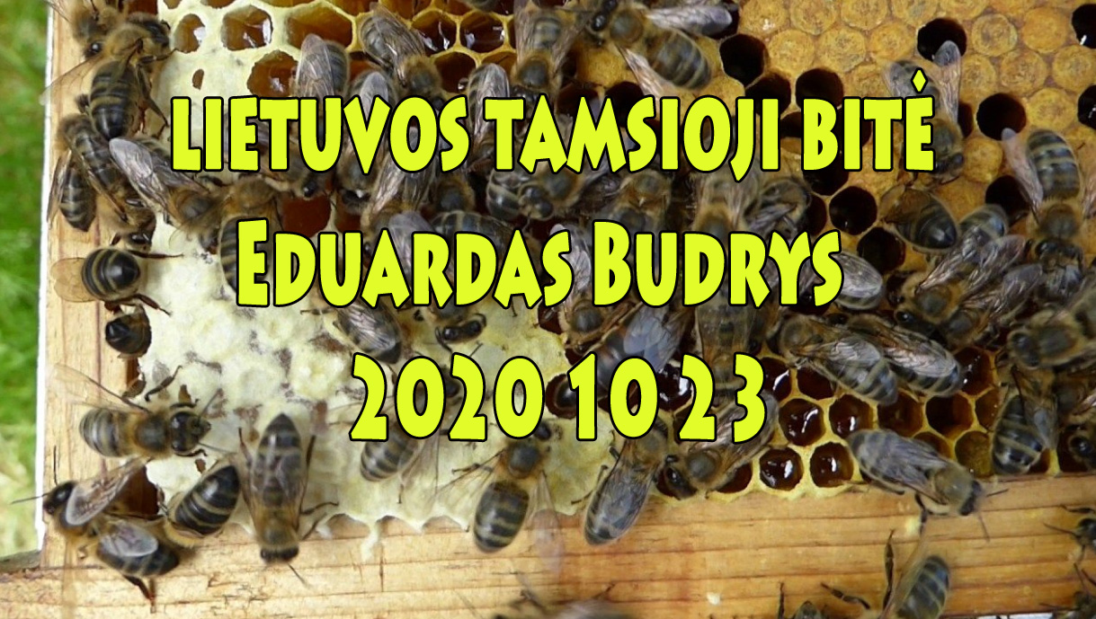 Eduardas Budrys