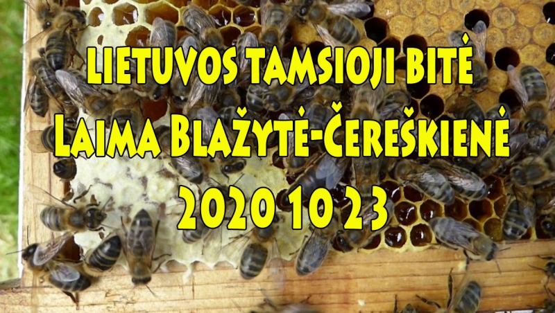 Laima Blažytė-Čereškienė