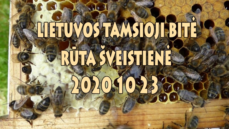Rūta Šveistienė