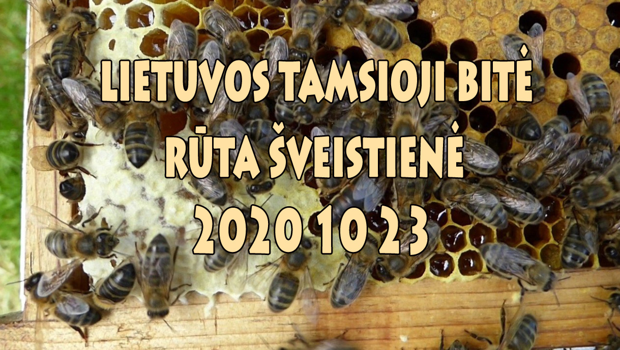 Rūta Šveistienė