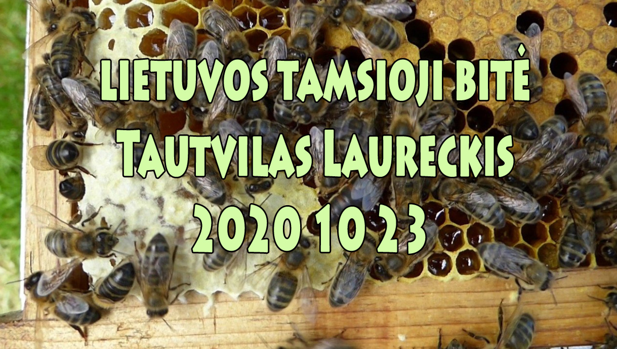 Tautvilas Laureckis