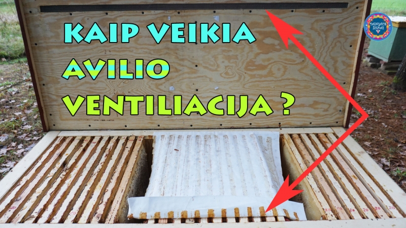 Kaip veikia avilio ventiliacija?