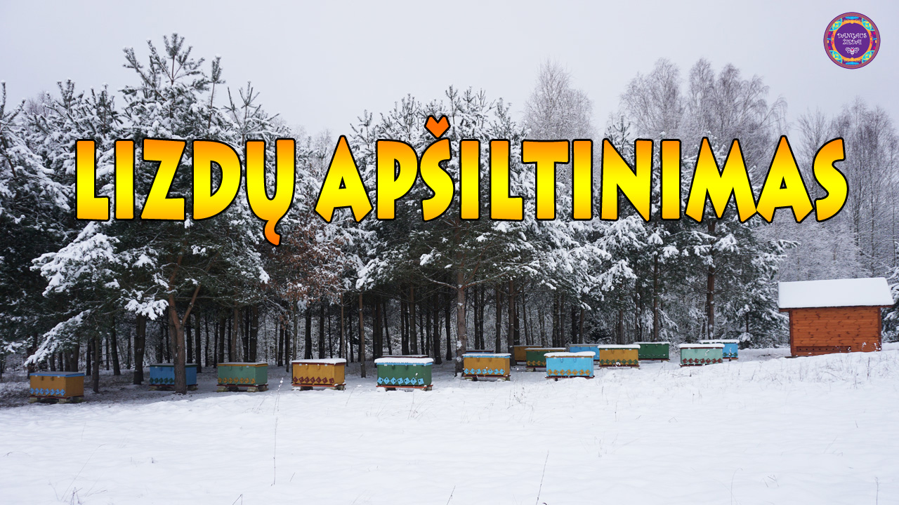 Lizdu apsiltinimas
