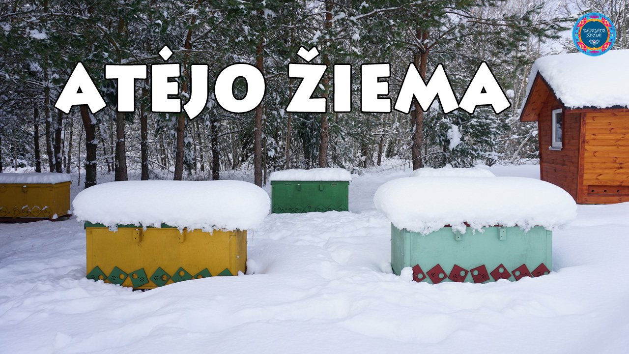 Atėjo žiema