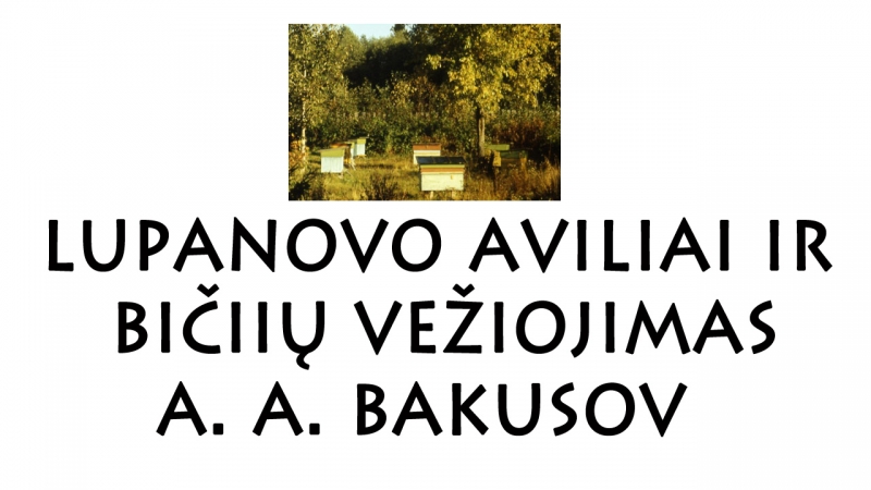 Lupanovo aviliai ir bičių vežiojimas, A. A. Bakusov