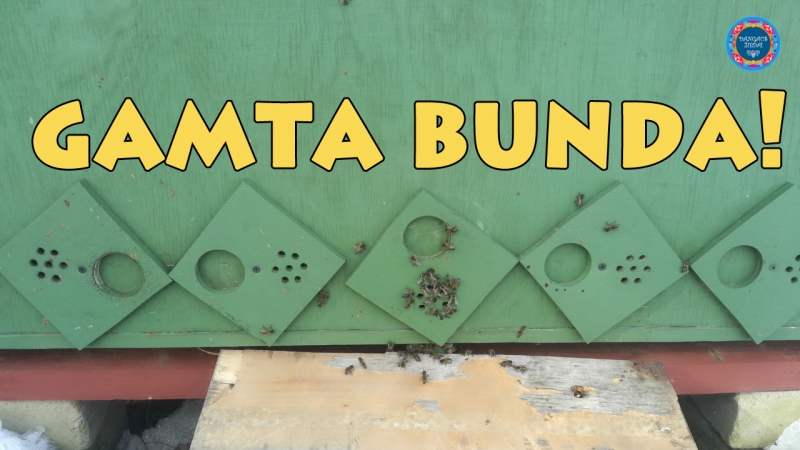 Gamta bunda