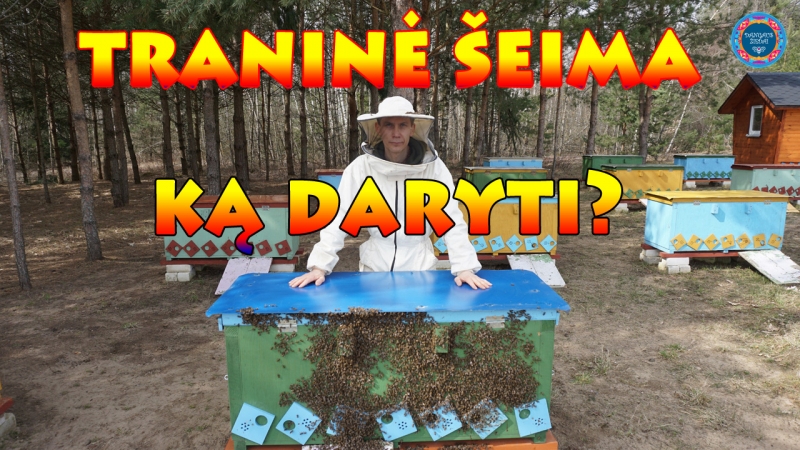 Traninė šeima