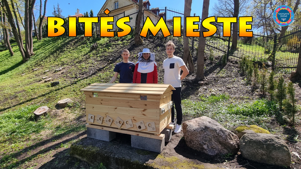Bitės mieste