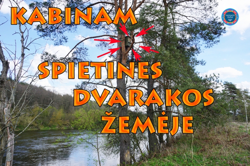 Kabinam spietines Dvarakos žemėje