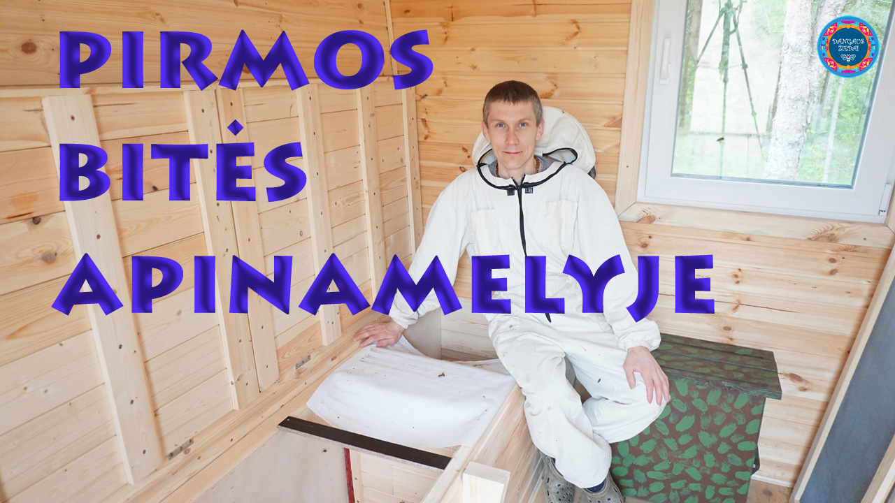 Pirmos bitės apiterapijos namelyje