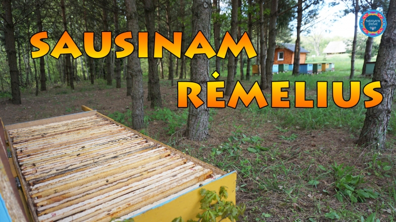 Rėmelių nusausinimas