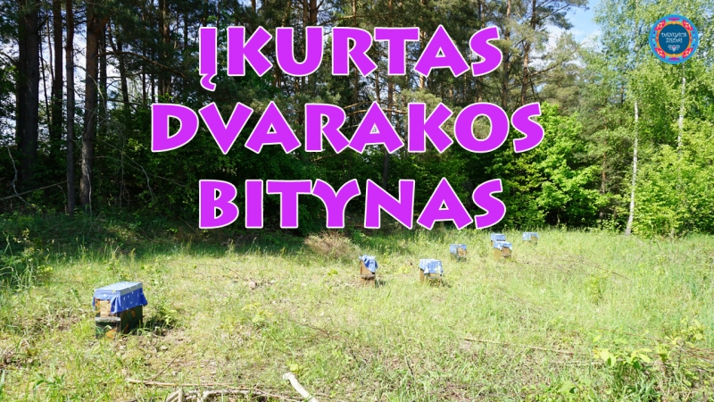Įkurtas Dvarakos bitynas