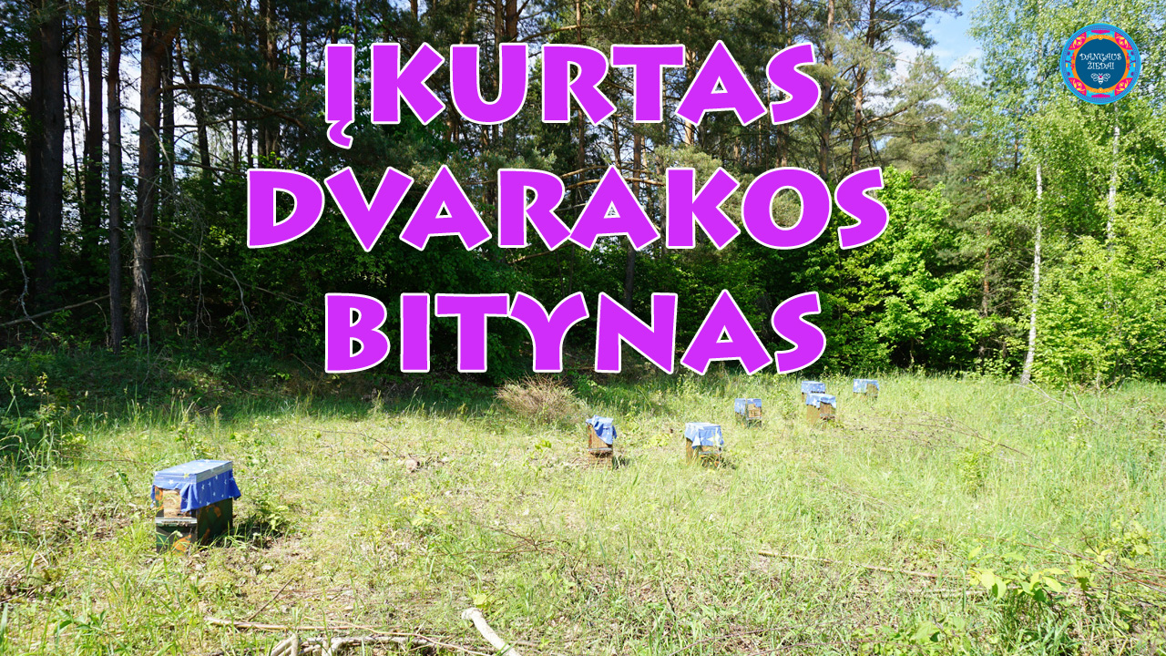 Įkurtas Dvarakos bitynas
