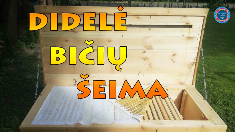 Labai didelė bičių šeima
