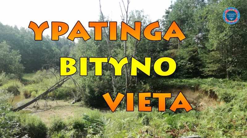 ypatinga bityno vieta