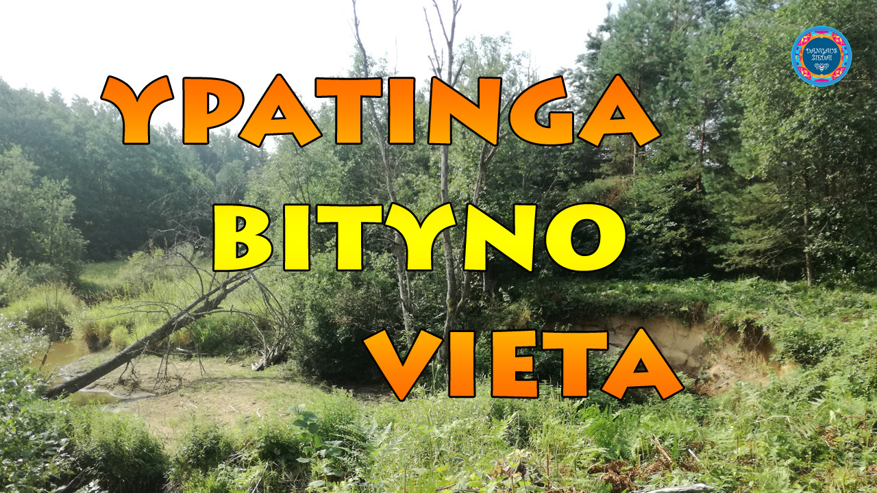 ypatinga bityno vieta