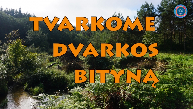 Tvarkome Dvarakos bityną