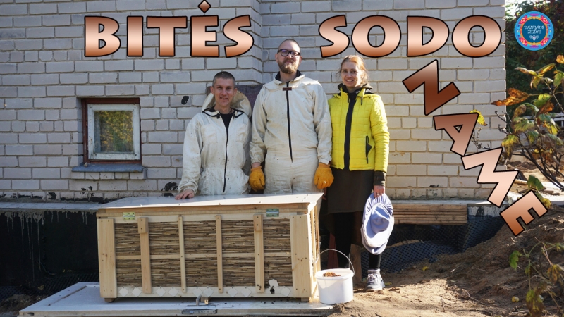 Bites sodo namelyje