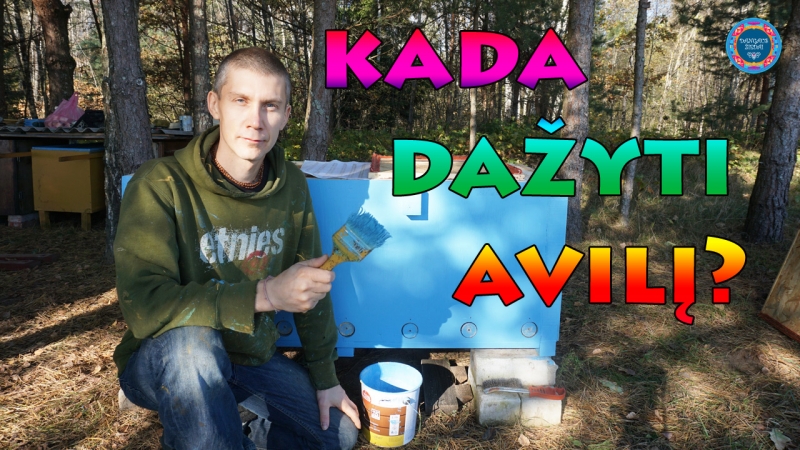 Kada dazyti avili