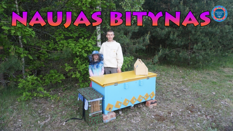 naujas bitynas