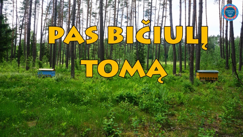 pas biciuli Toma