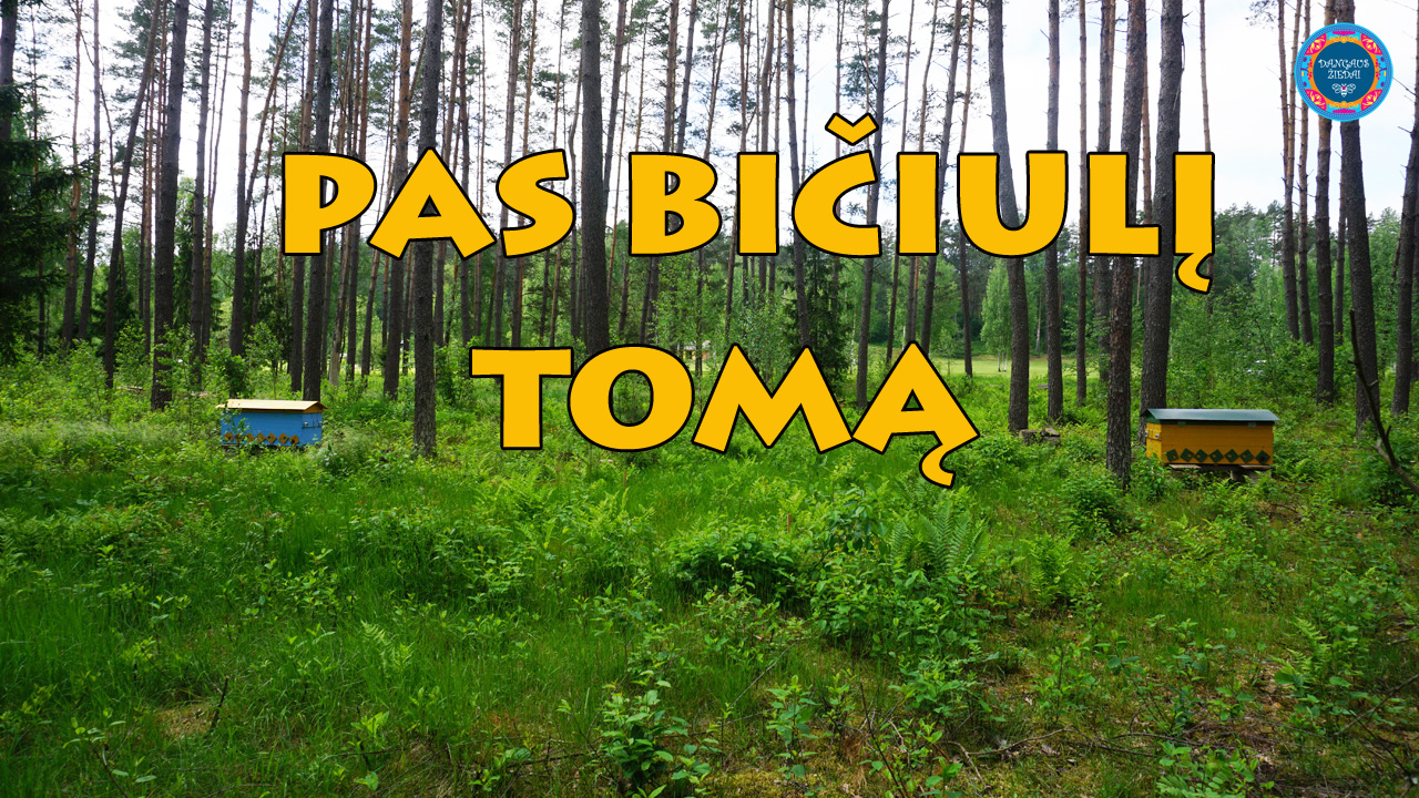 pas biciuli Toma