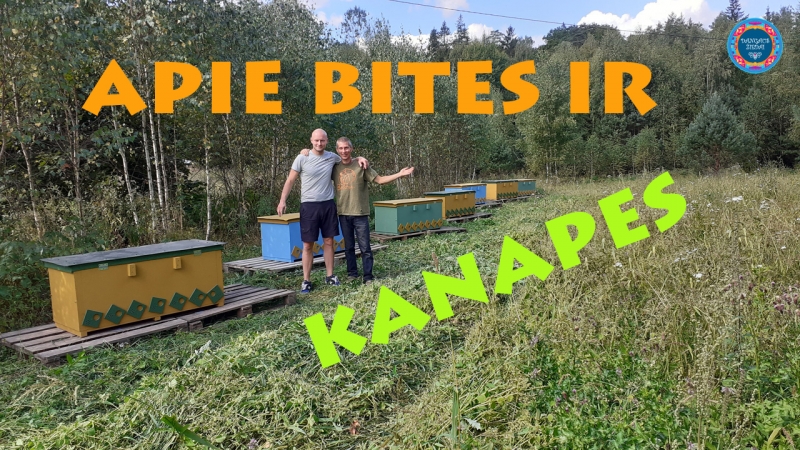 apie bites ir kanapes