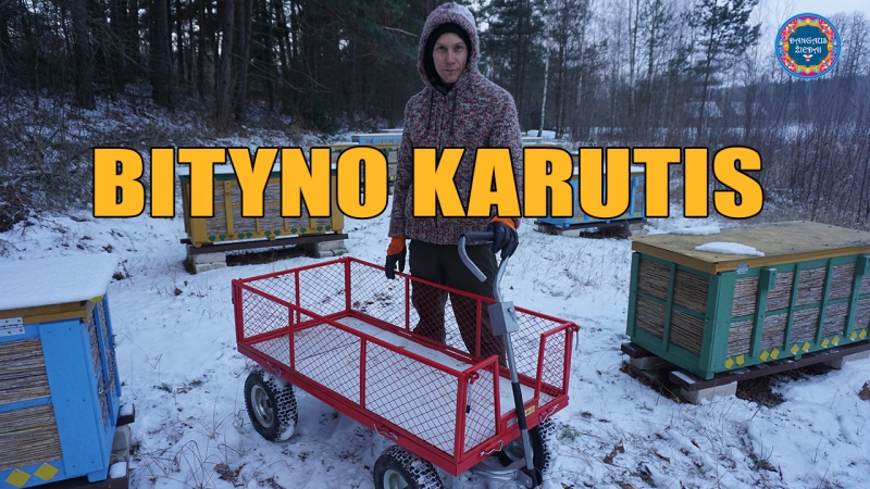 Bityno karutis