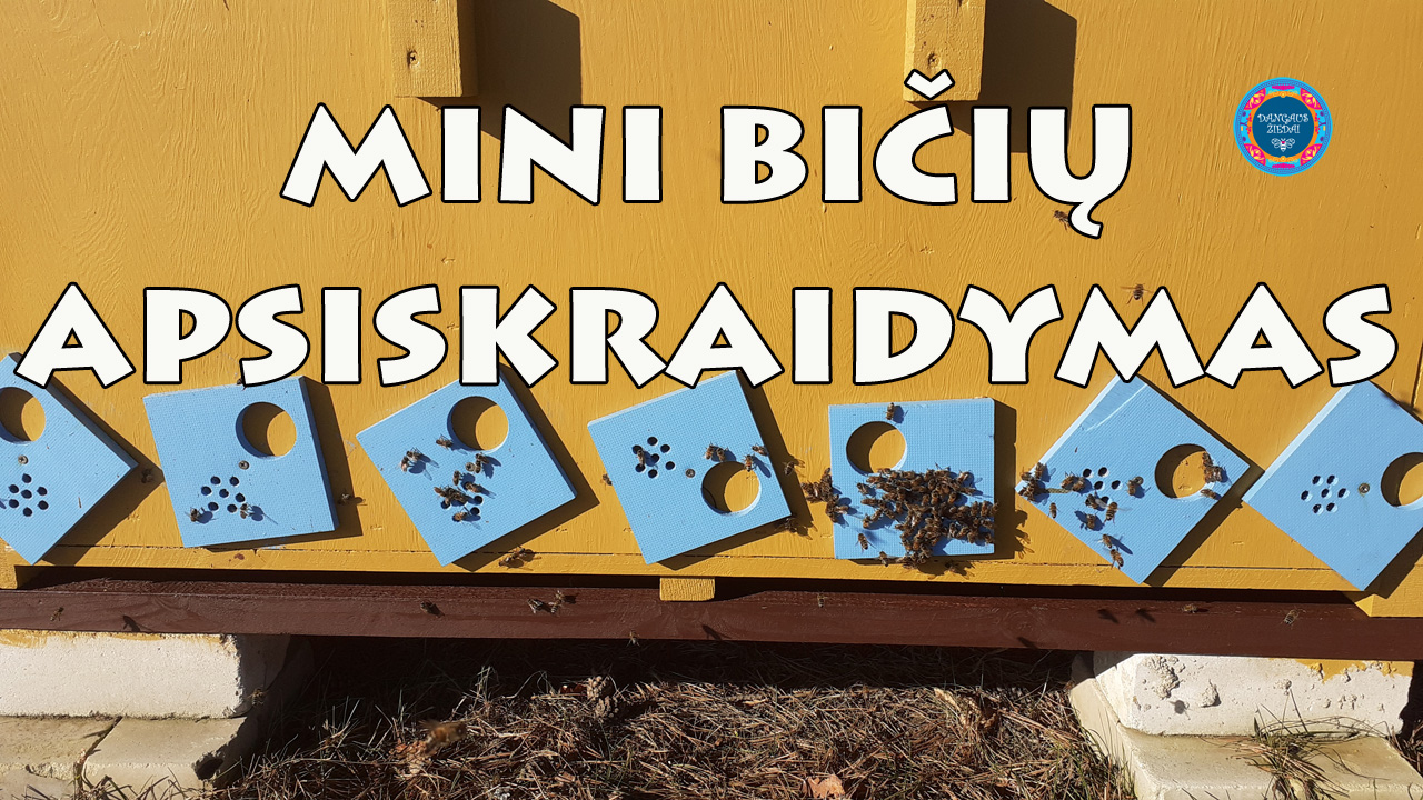 biciu apsiskraidymas
