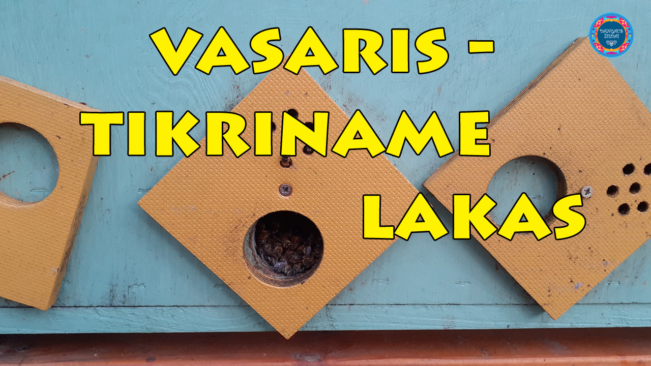 vasaris tikriname lakas